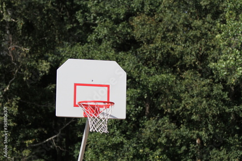 Basketball hoop on a freen forest background