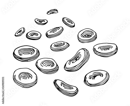 set of a red blood cells, erythrocytes, microscopic bodies, vector illustration with black ink lines isolated on a white background in a hand drawn & doodle style