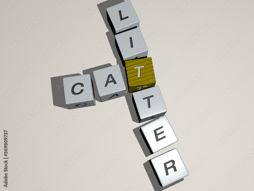 crosswords of cats cat litter arranged by cubic letters on a mirror