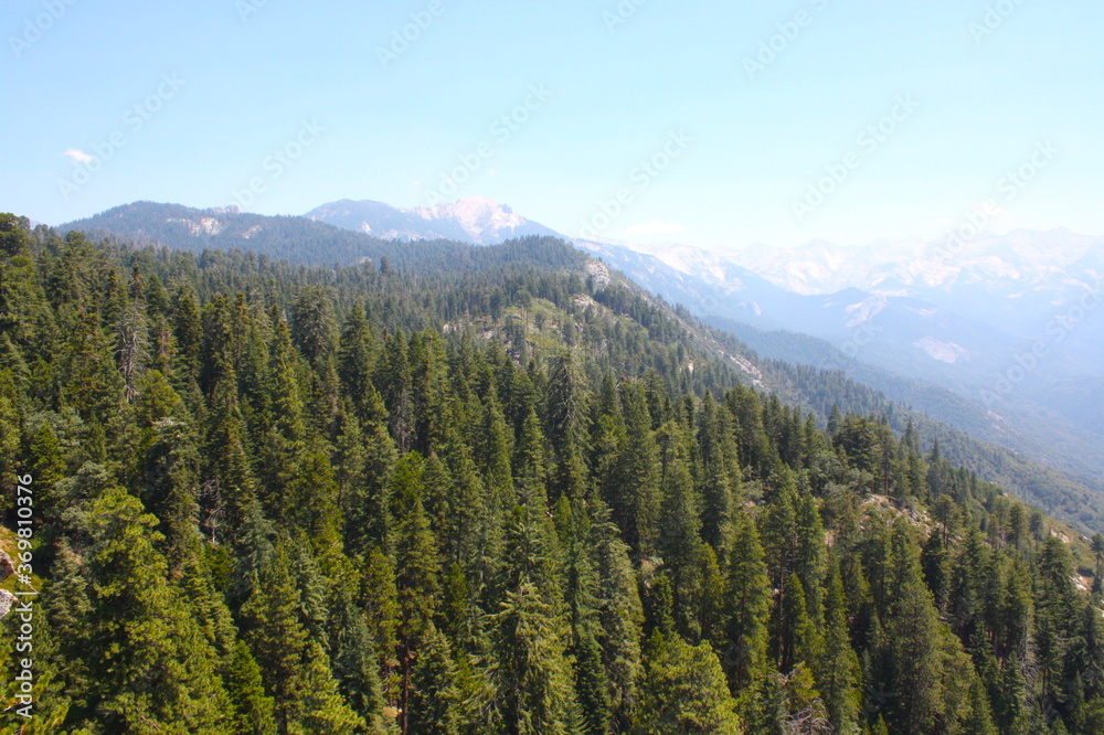 Aerial view of the Yosemite Forest National Park, West America, USA, United, States.