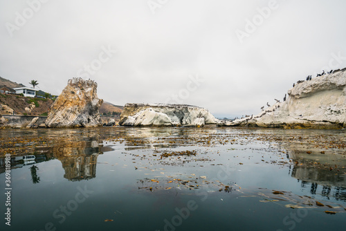 Shell Beach, California, view from the ocean. Cliffs, kelp forest, flock of birds, and cloudy sky on background