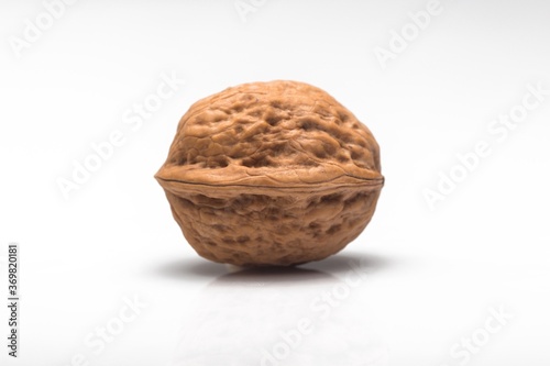 Single Walnut