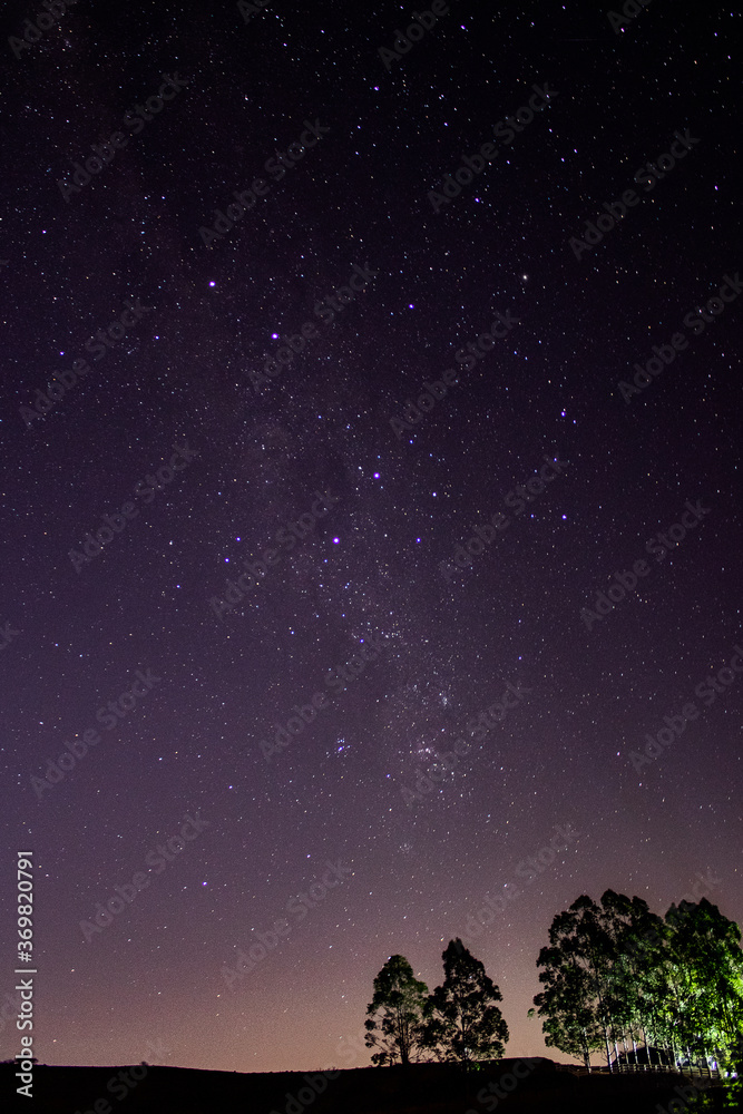 Céu noturno estrelado observado da zona rural