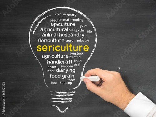 sericulture photo