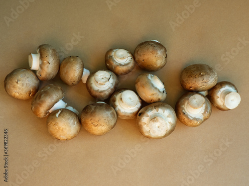 Fresh brown champignons on brown background. Agriculture edible mushrooms. Minimal simple modern food concept.