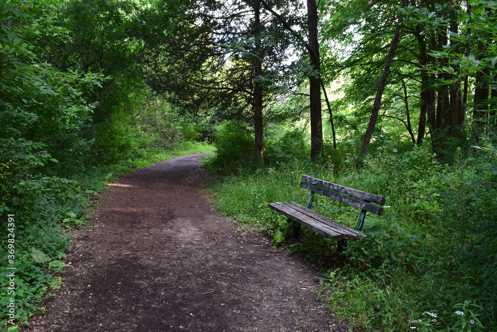 Summer landscape with an old wooden park bench on a trail 