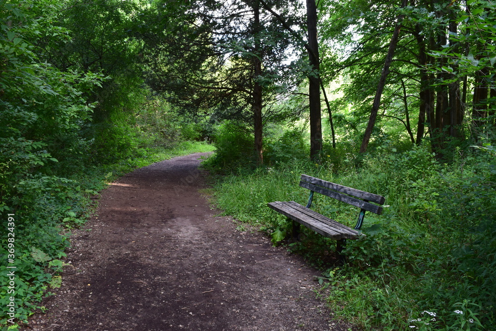 Summer landscape with an old wooden park bench on a trail Summer landscape with an old wooden park bench on a trail