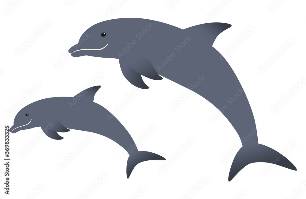 Fototapeta premium 仲良くジャンプするイルカの親子