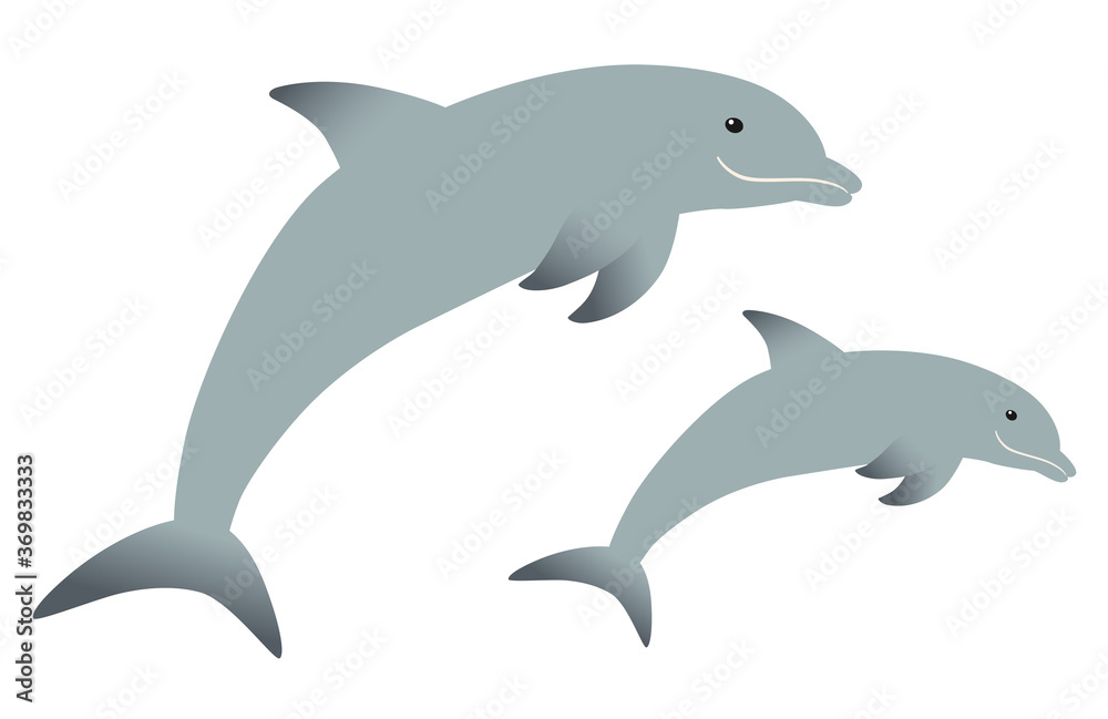 Obraz premium 仲良くジャンプするイルカの親子
