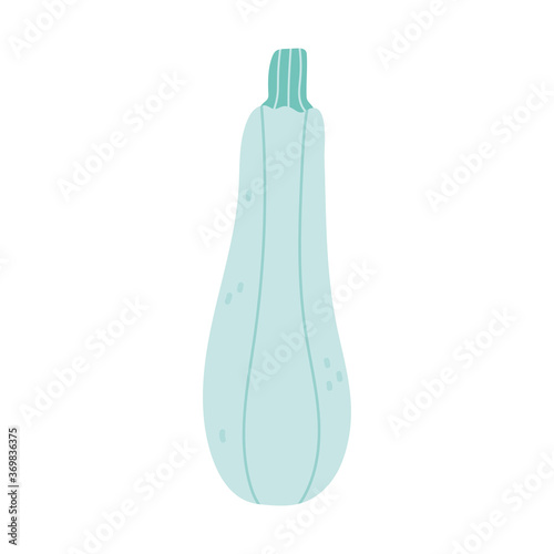 zucchini fresh vegetable diet isolated icon design white background