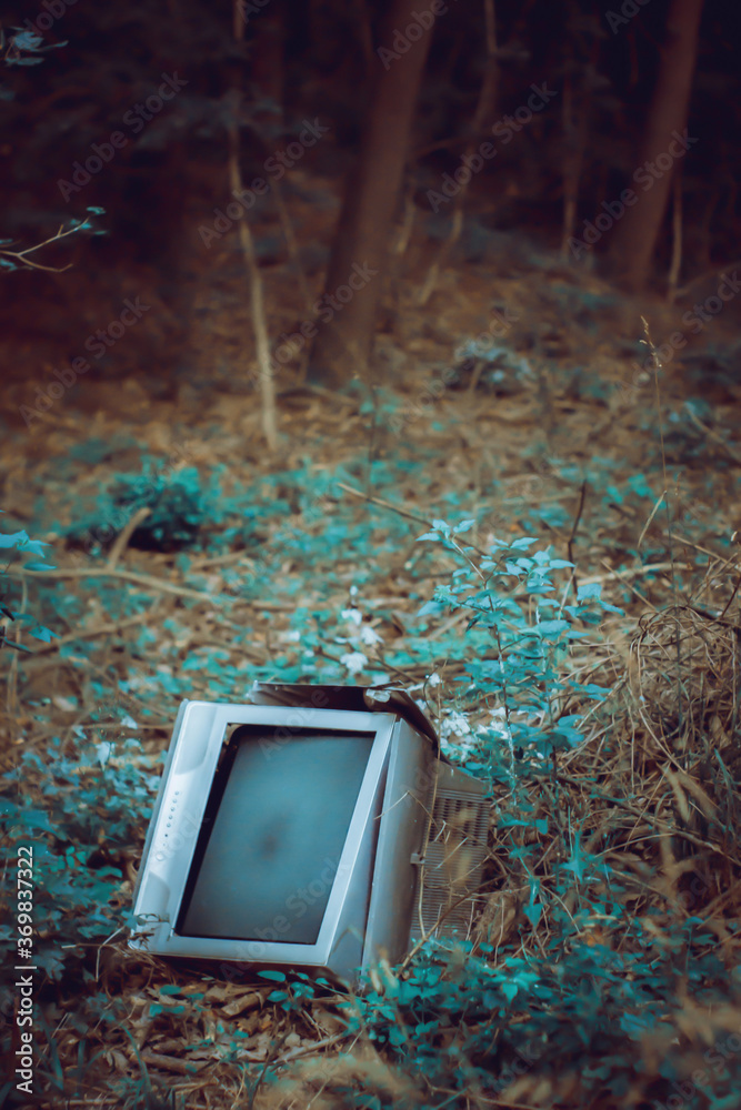 shattered television trash in the woods, littering in the forest