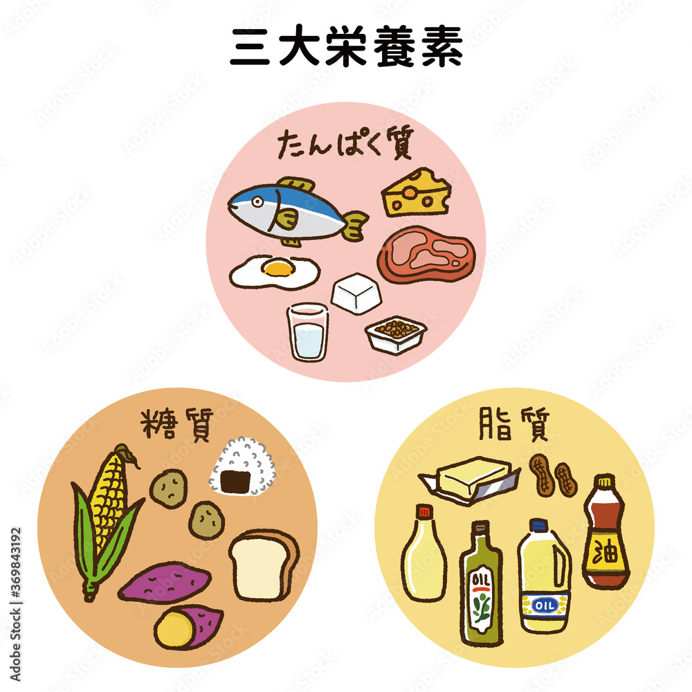 三大栄養素のアイコンセットイラスト Stock Illustration Adobe Stock