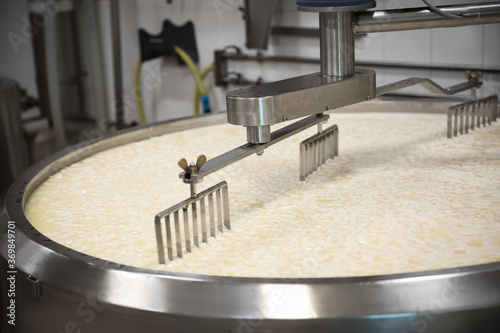 Curd and whey in tank at cheese factory