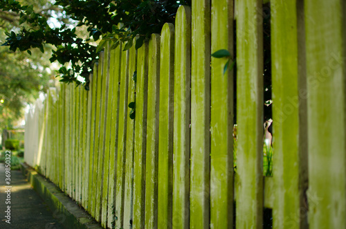 Weathered Fence