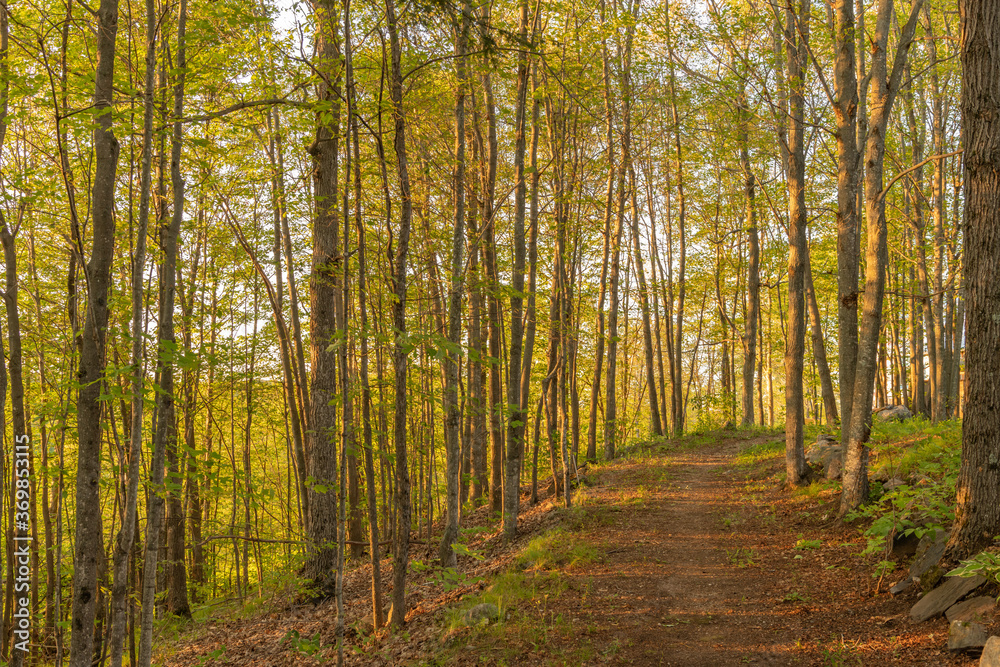 Hiking trail on top of a hill landscape Hiking trail on top of a hill landscape