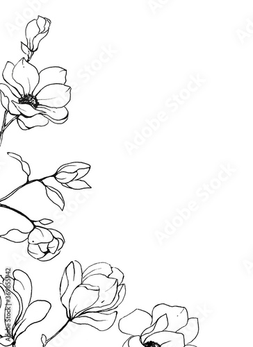 Fototapeta Naklejka Na Ścianę i Meble -  Flowers magnolia black lines, floral frame border for greeting card, invitation and other printing design. Isolated on white. Hand drawing.
