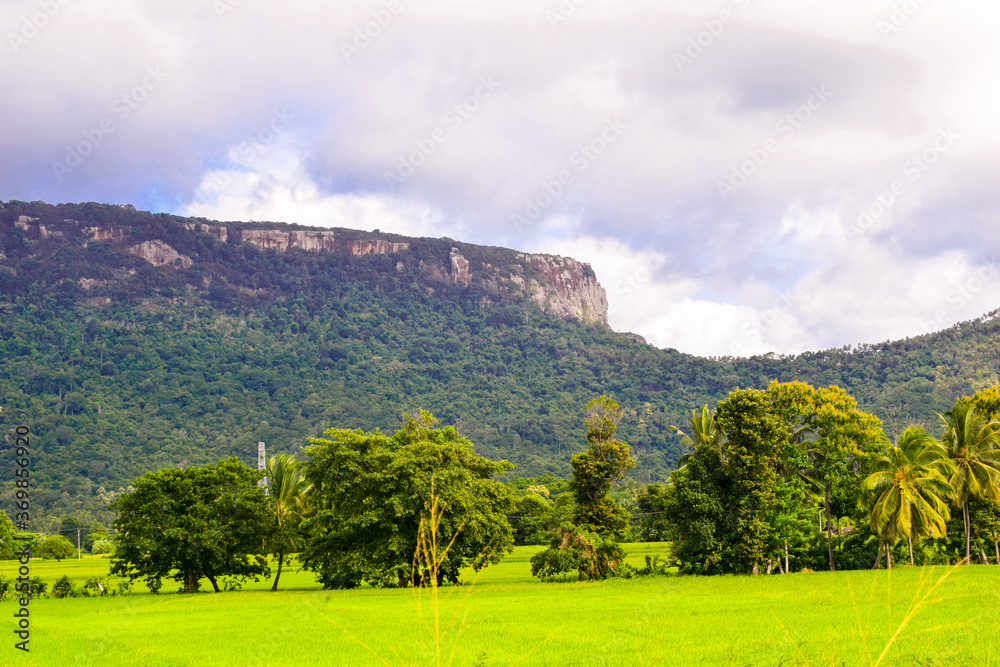 Dolukanda Mountain ,Sri lanka

landscape, mountain, sky, nature, green, grass, blue, hill, summer, view, forest, mountains, cloud, tree, field, hills, clouds, rural, trees, travel, rock, country, 