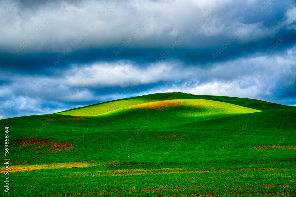 Obraz premium Green Fields and Sunlight