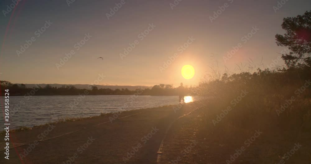 Silhouetted man walks towards sunset. Bird flies. 60fps Silhouetted man walks towards sunset. Bird flies. 60fps