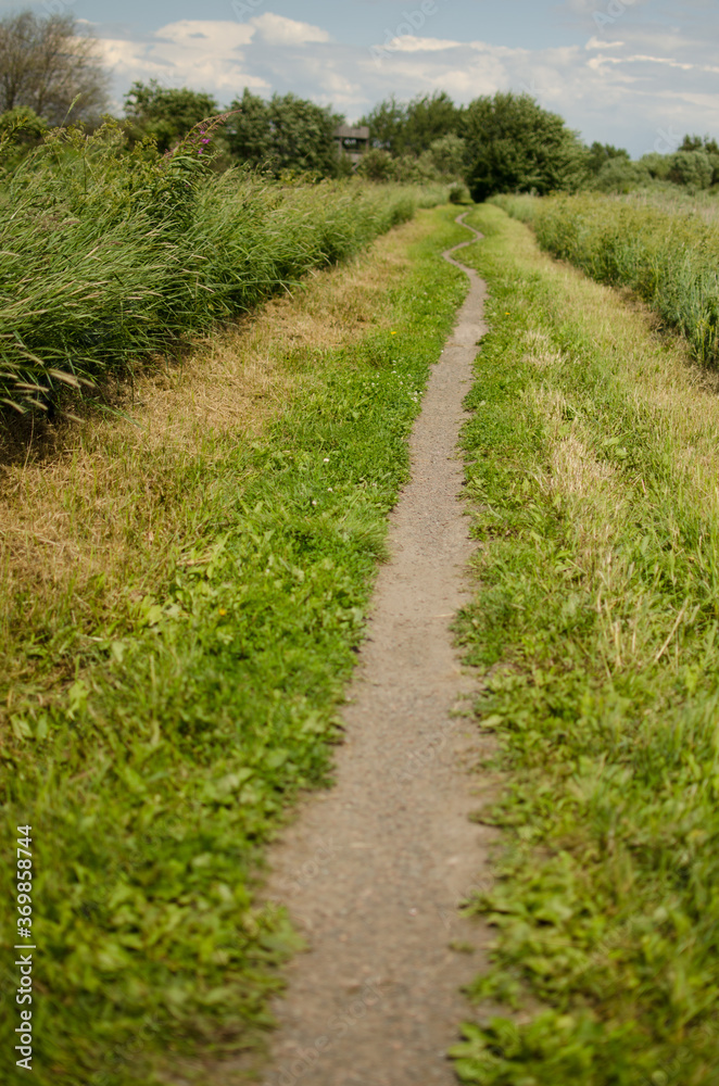 Path in Countryside
