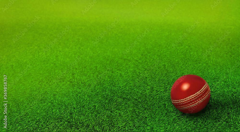 cricket ball resting on green grass pitch, cricket ground, ipl, twenty