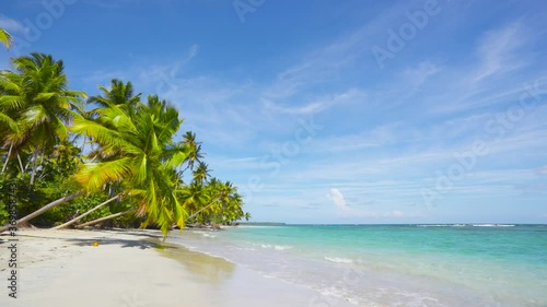 Caribbean Sea landscape on Dominican Republic beach. Sunny day on tropical paradise beach background. Long coconut palms bent over the wild wide beach of Punta Cana.