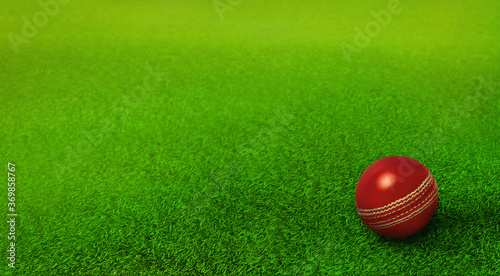 cricket ball resting on green grass pitch  cricket ground  ipl  twenty twenty   cricket world cup