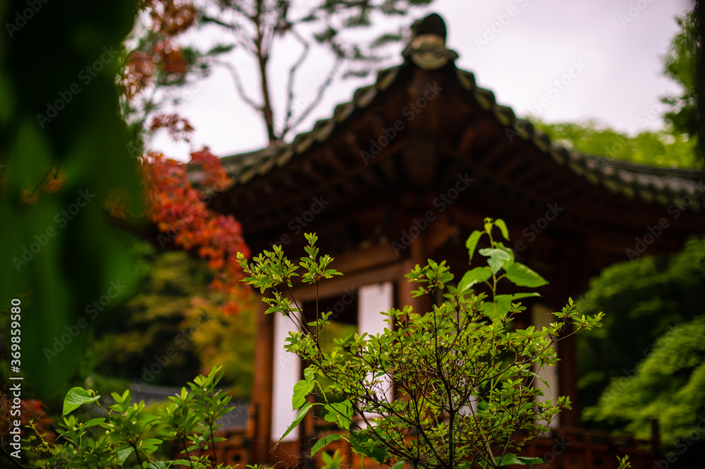 Traditional Korean Tile House and Nature Traditional Korean Tile House and Nature