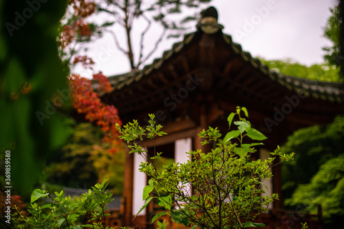 Traditional Korean Tile House and Nature © memorycolor