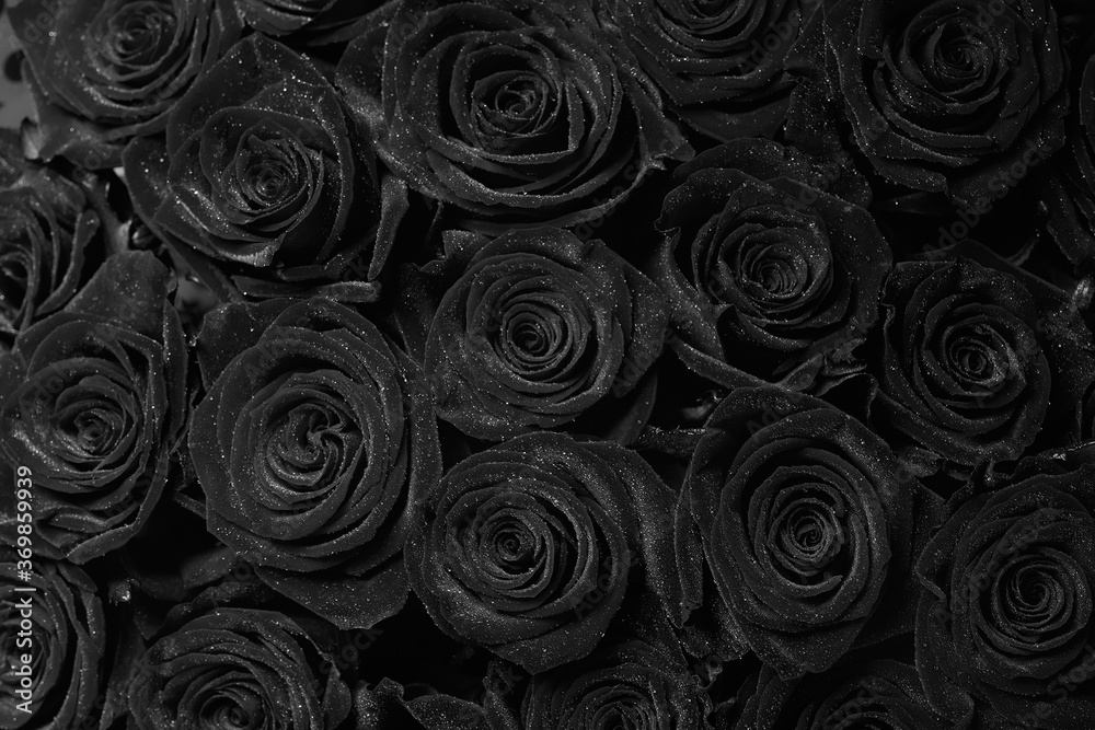 Fototapeta Roses. Bouquet of flowers. Black and white image.