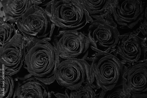 Roses. Bouquet of flowers. Black and white image.
