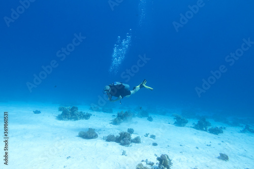 Single scuba diver over a coral reef, air bubbles, underwater landcape