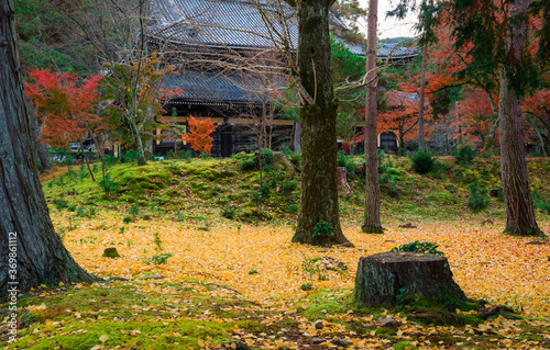 京都 南禅寺の紅葉