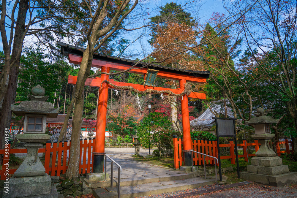 Fototapeta premium 京都 大原野神社の紅葉