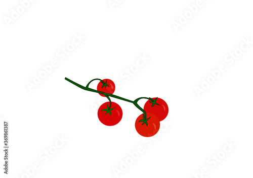 pomodoro esempio per logo illustrazione busta alimenti sacchetto bottiglia barattolo