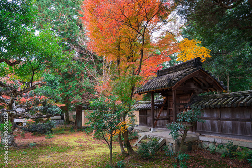 京都 鹿王院の紅葉
