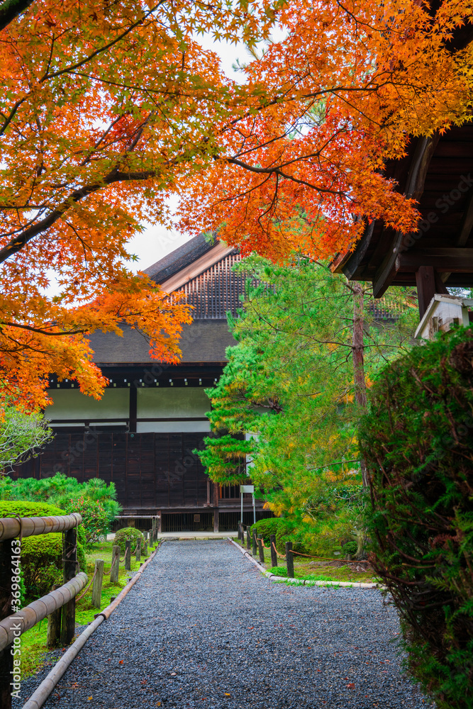 Naklejka premium 京都 金地院の紅葉
