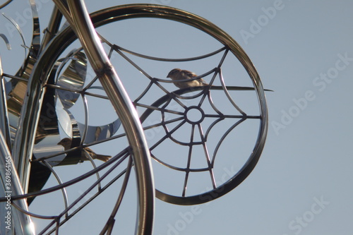 sparrows inside spider metal sculpture