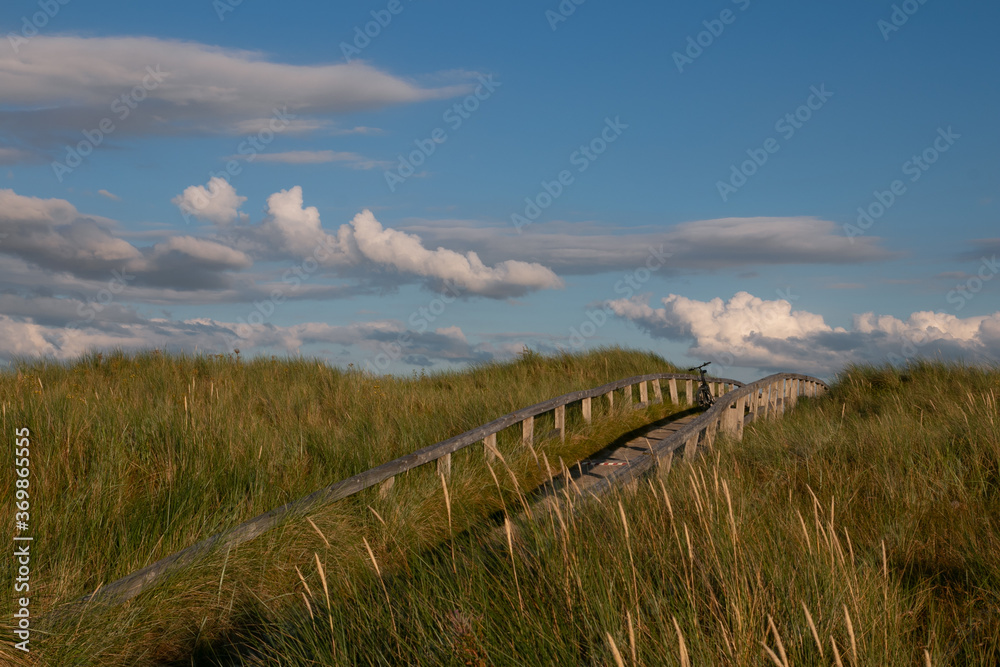 Fototapeta premium Pfad zum Strand durch Dünen, Ostsee