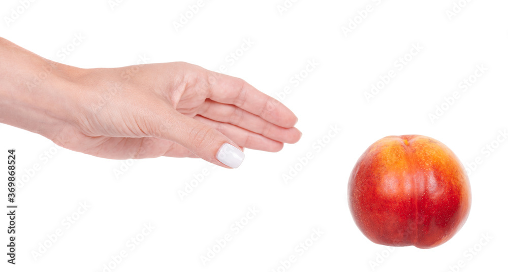 Hand with fresh raw peach fruit, isolated on white background. Hand with fresh raw peach fruit, isolated on white background.