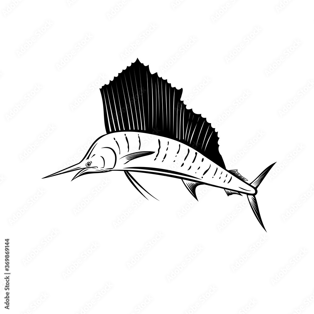 Indo-Pacific Sailfish or Billfish Jumping Up Side Retro Woodcut Black and White Indo-Pacific Sailfish or Billfish Jumping Up Side Retro Woodcut Black and White