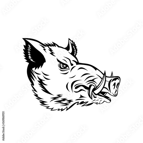 Wild Boar Common Wild Pig or Wild Swine Head Side Mascot Black and White