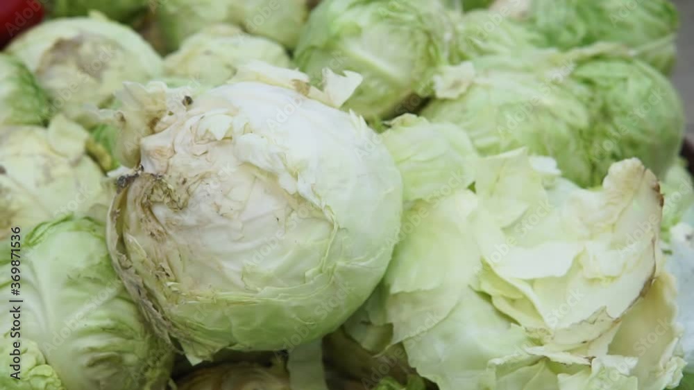 cabbage close-up in a grocery hypermarket cabbage close-up in a grocery hypermarket