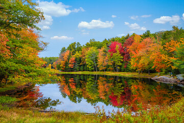 Colorful foliage tree reflections in calm pond water on a beautiful autumn day in New England