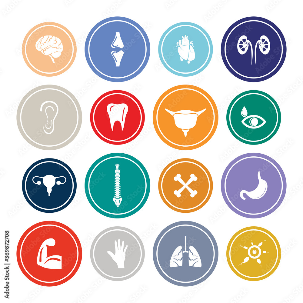 Human Body Parts Infographic Round design Icon Sets For Web, App And Design.