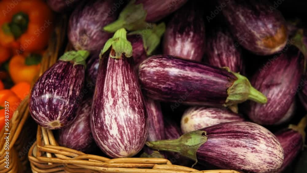 eggplants are on display in the supermarket. organic vegetables eggplants are on display in the supermarket. organic vegetables