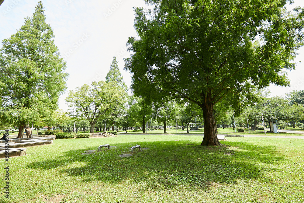 Fototapeta premium 風景