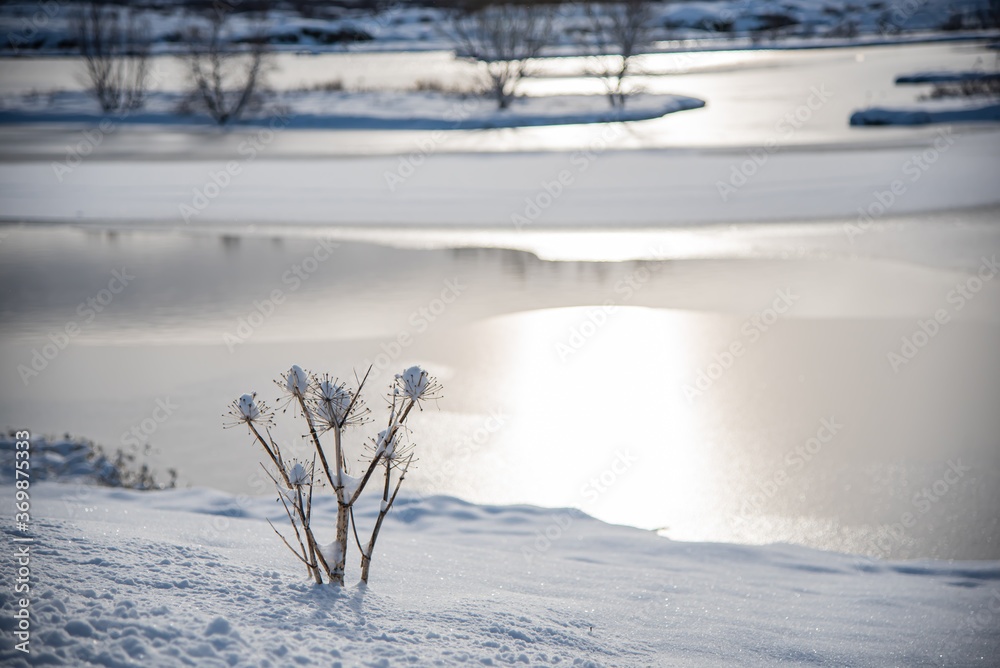 Iceland beautiful winter landscape at Golden Circle Iceland beautiful winter landscape at Golden Circle