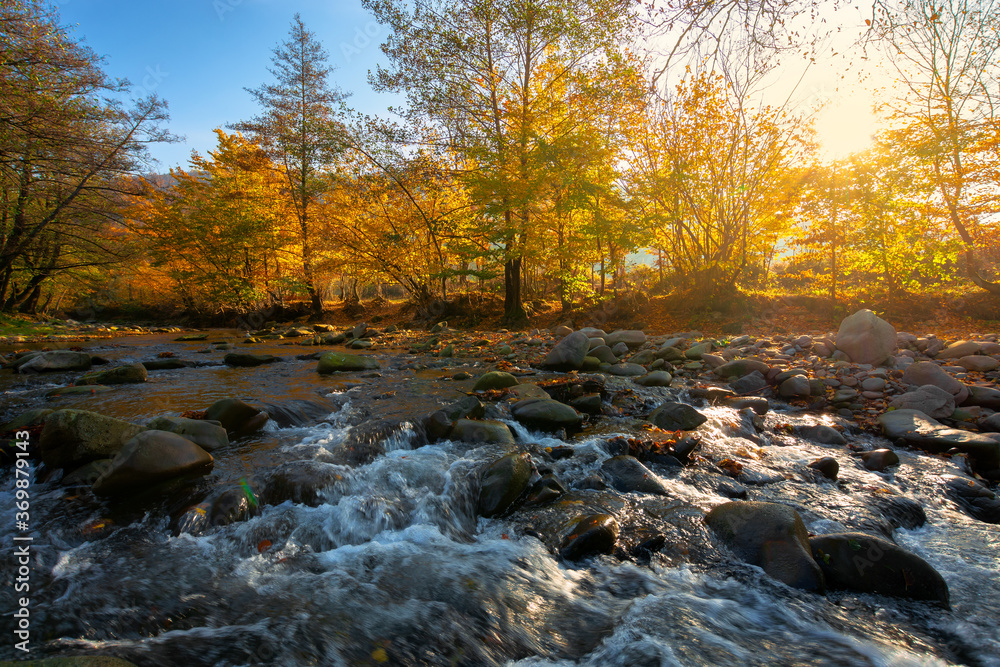 mountain river among the forest in autumn. sunny morning landscape. rocks in the water stream. cloudless blue sky mountain river among the forest in autumn. sunny morning landscape. rocks in the water stream. cloudless blue sky