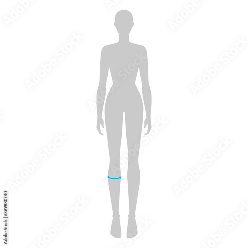 Women to do calf measurement fashion Illustration for size chart. 7.5 head size girl for site or online shop. Human body infographic template for clothes. 